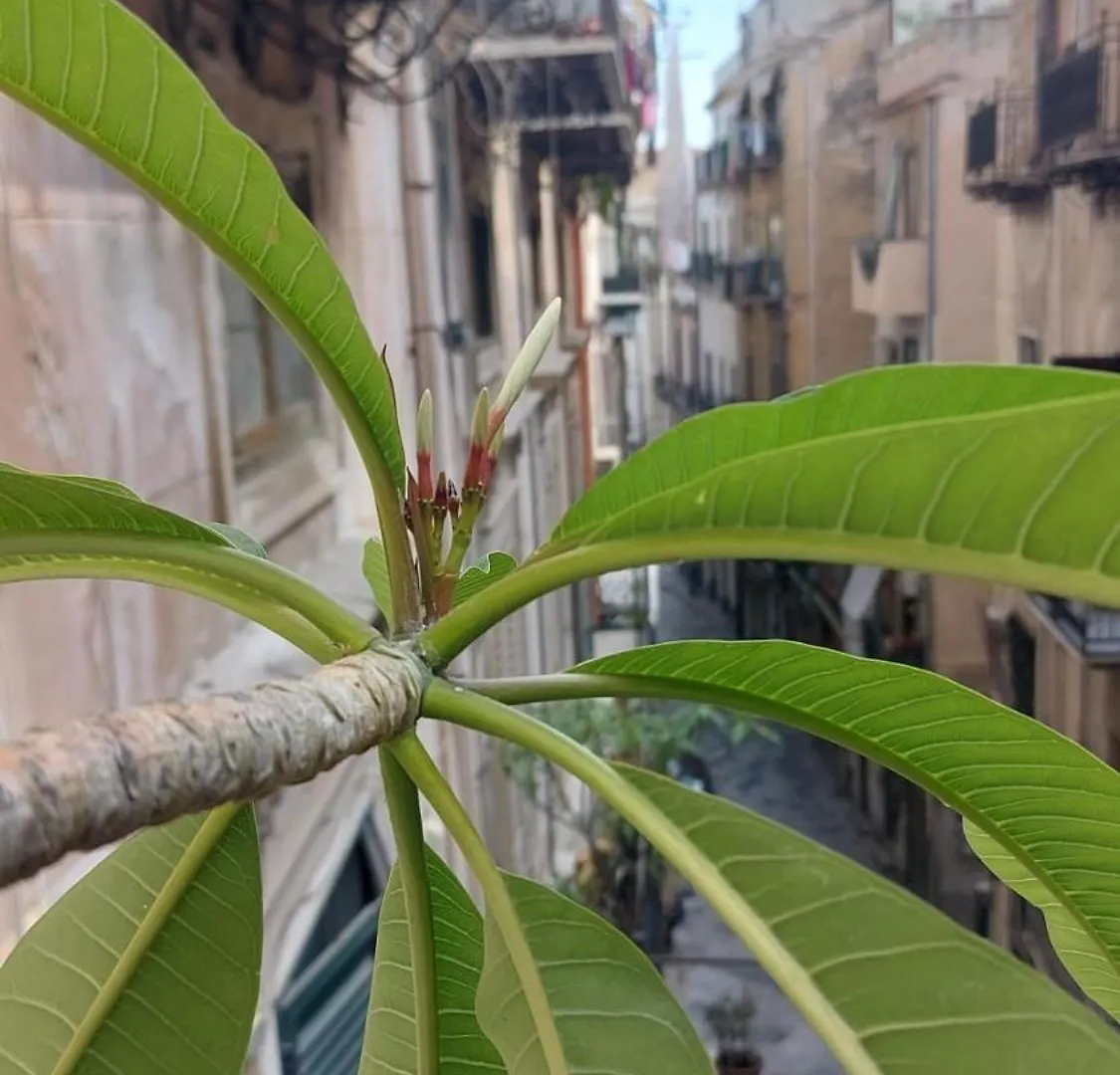 A Casa Di Elena Apartment Palermo